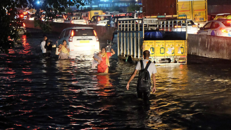 At 668mm, Rajasthan receives highest rainfall in 49 years
