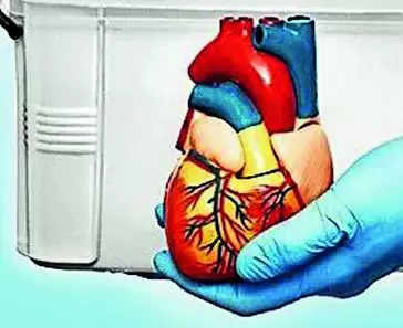Organ transplant case: HC grants bail to 3, including 2 docs