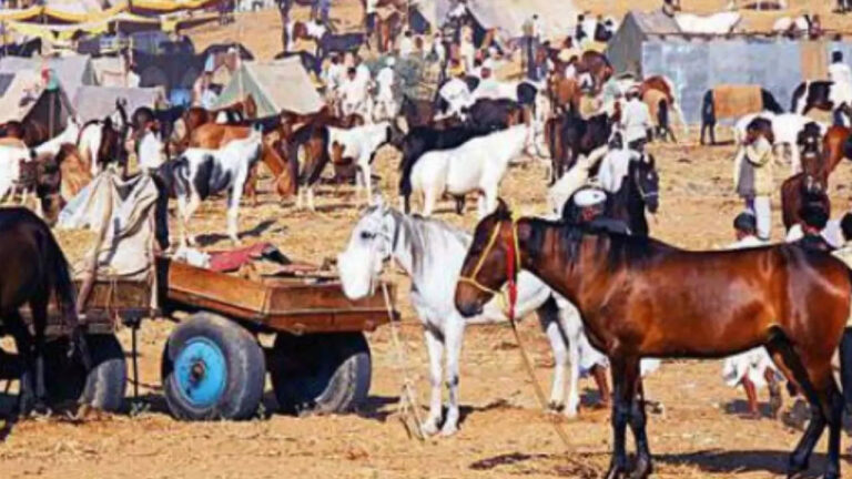 West Asia war prompts security beef up in Rajasthan’s Pushkar