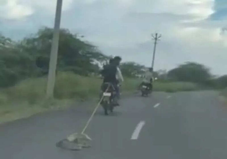 FIR registered against 2 who dragged python behind bike in Banswara