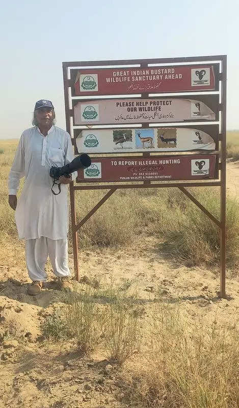 GIBs may be leaving Jaisalmer for new habitat in Pakistan