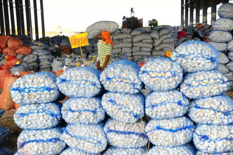 Garlic prices dip in Jaipur as Afghan bulbs arrive