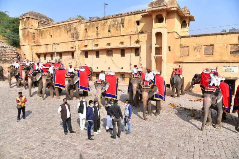 Fix elephant ride rates to Amber fort after hearing body: HC to Raj