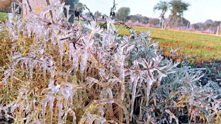 Cold wave grips parts of Rajasthan; Karauli records lowest temperature of 4.5°C