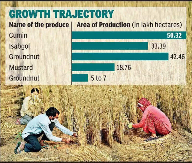 Food for thought: Processing units to help Raj farmers grow