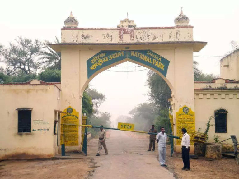 After SC, NGT orders, crackdown on illegal activities in Sariska reserve