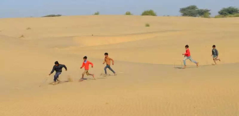 Groundwater overuse deepens crisis in Raj, may turn bleak