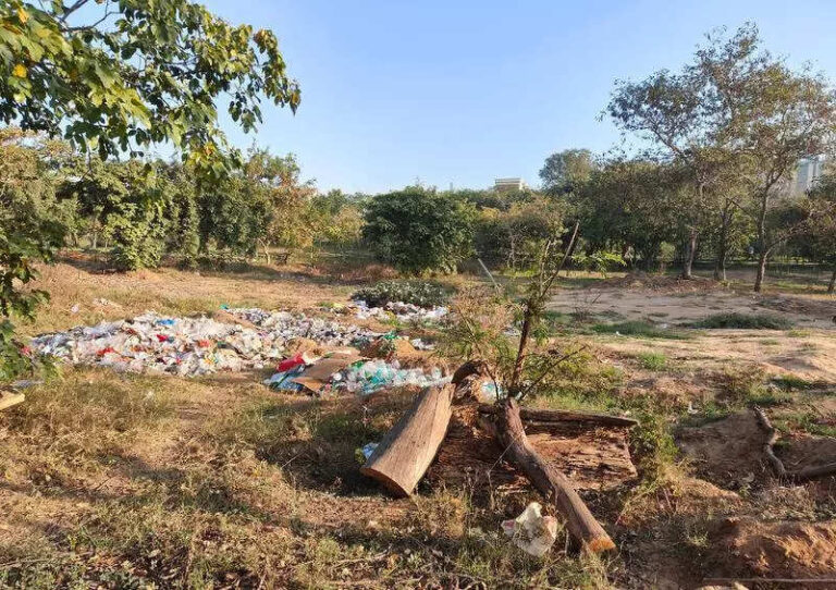 Walkers find garbage, illegal parking at Central Park too upsetting, protest