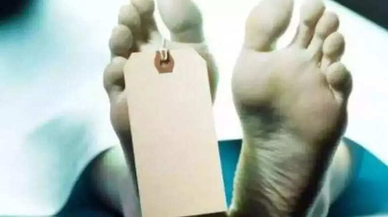 Worker killed as power grid tower collapses in Sikar