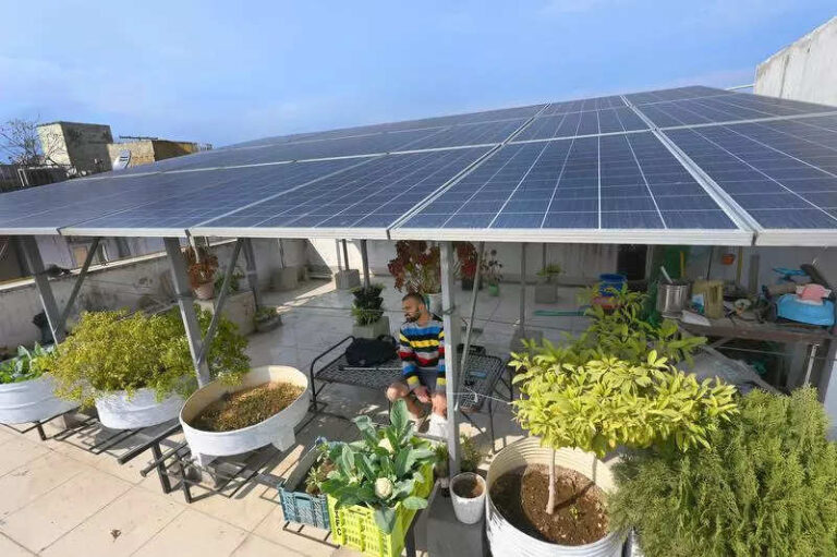 Free rooftop plants last resort to end free power