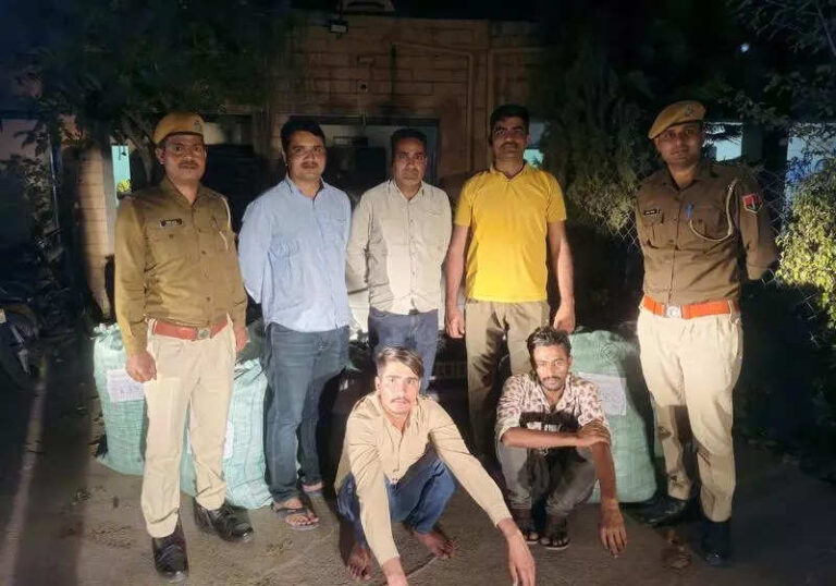 Marijuana worth 1 crore seized in Bhilwara, 2 held