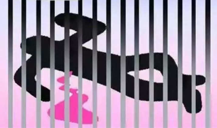 Minor detained for murder of 13-yr-old boy in Tonk