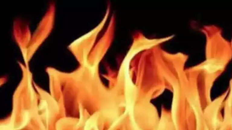 Fire engulfs part of Mukundra Tiger Reserve in Kota