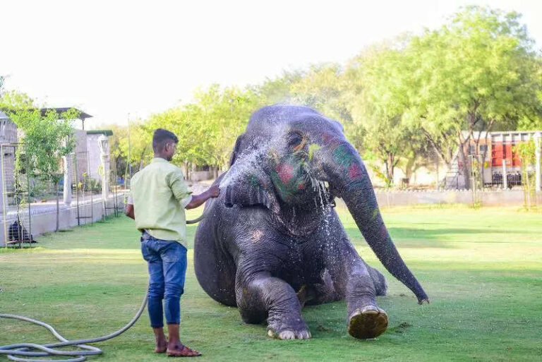 Heatwave revives in Raj, Kota hottest at 42.3°C