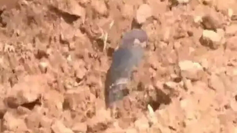 Bomb-like object found in Rajasthan’s Jaisalmer