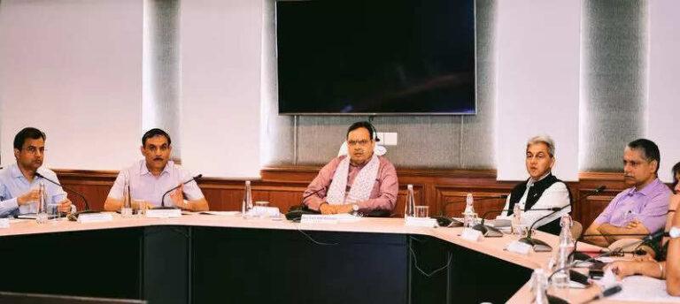CM reviews green energy MoUs under RR summit