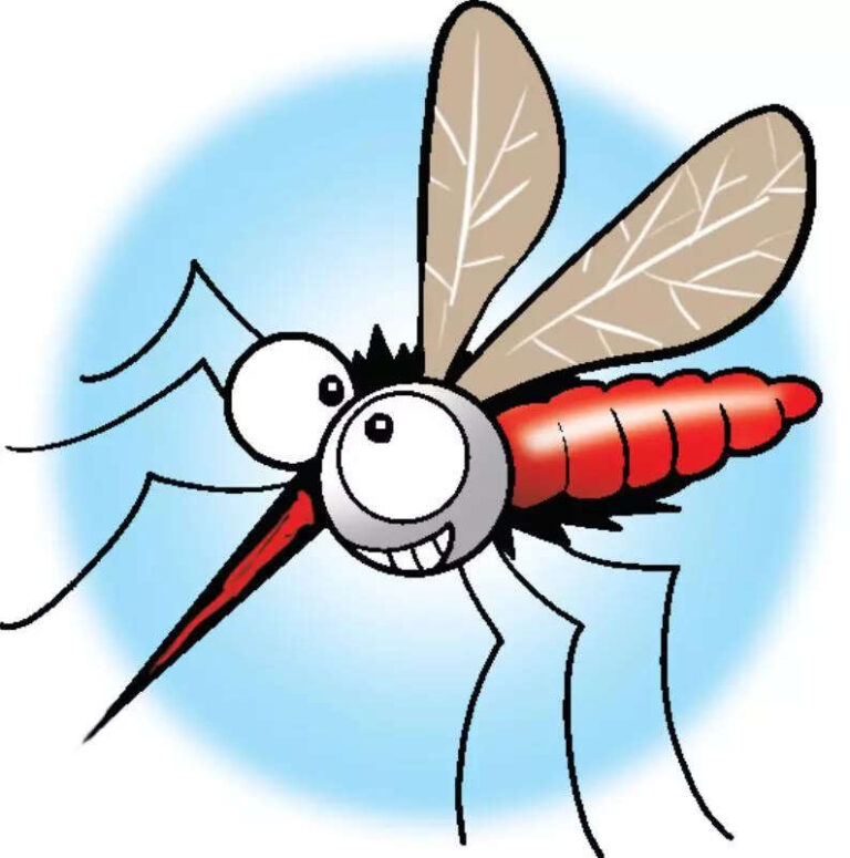 Dengue cases, deaths fall in Raj over 5 years