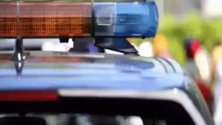 Rajasthan police seized 12 quintals and 53 kilograms of illegal poppy husk