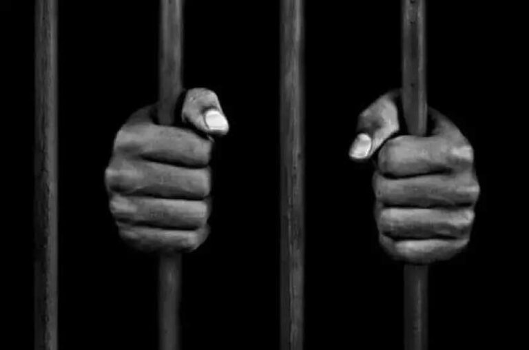 4 arrested in Bhilwara for assault and setting pickup truck on fire