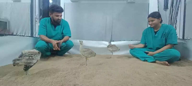 Peck & Choose: Five GIB chicks named after Op Sindoor heroes