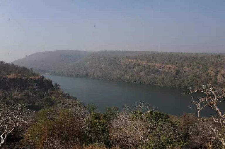 Chambal survey begins ahead of proposed sanctuary denotification