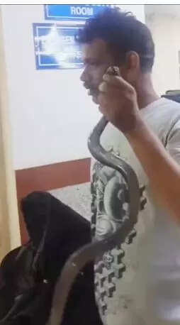 ‘Hiss’teria: Bite victim takes live snake to hosp for identification
