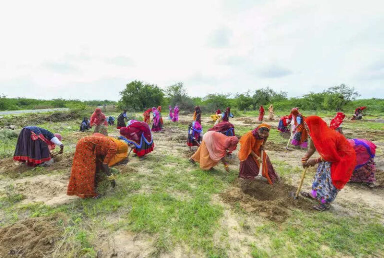 Sharp decline in state MGNREGS job creation, shows 4-yr low