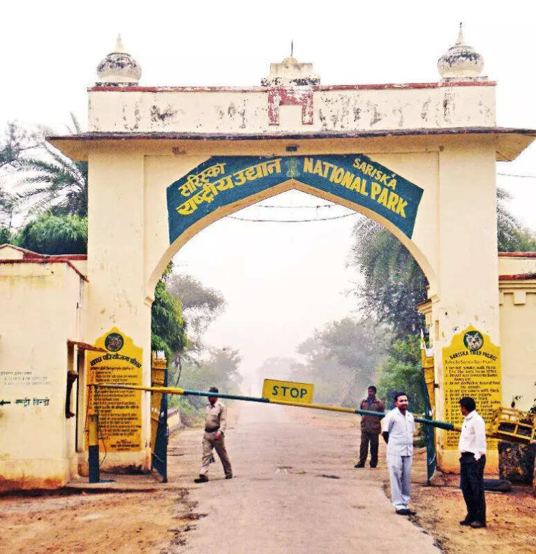 Conservationists raise alarm over govt proposal to redraw Sariska boundaries