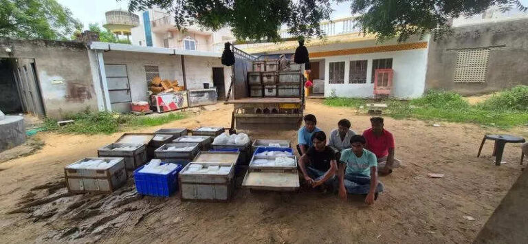 1,000kg fake paneer seized in city raid